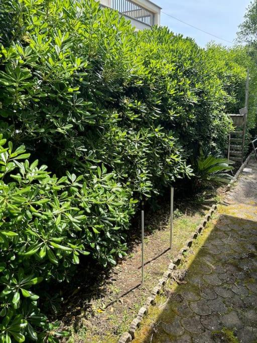 Con Giardino Сasa de vacaciones