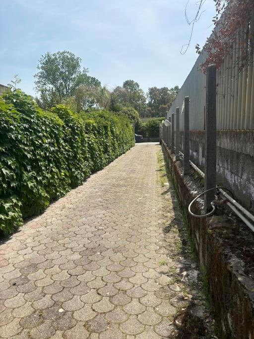 Con Giardino Сasa de vacaciones Salerno